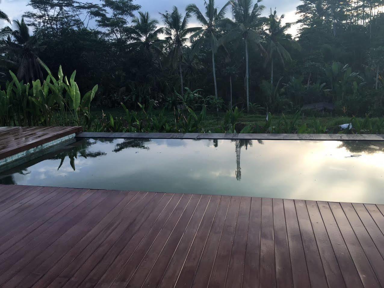 Villa Tegal Tis Ubud Пайанган Екстериор снимка